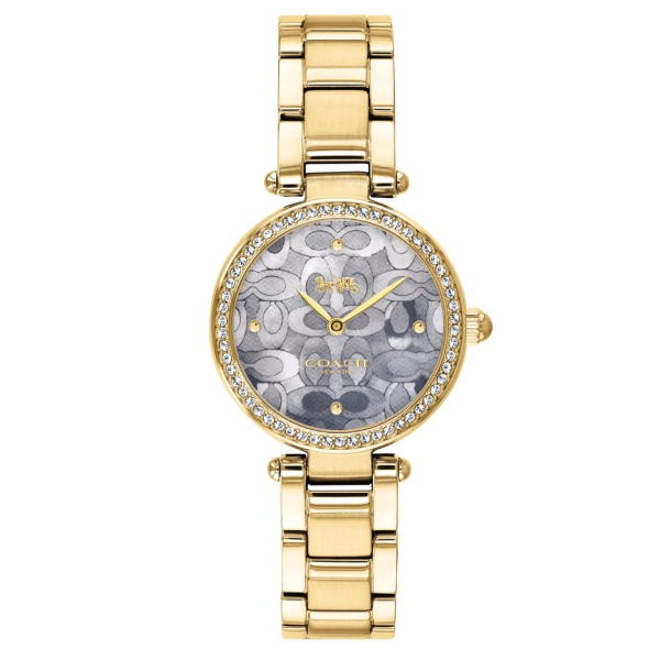 Coach Park Gold Stainless Steel Mother Of Pearl Dial Quartz Watch for Ladies - 14503225