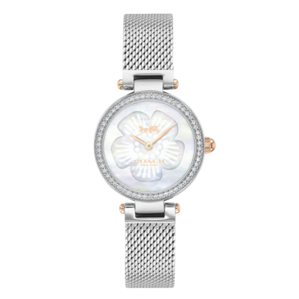Coach Park Silver Mesh Bracelet Mother Of Pearl Dial Quartz Watch for Ladies - 14503510