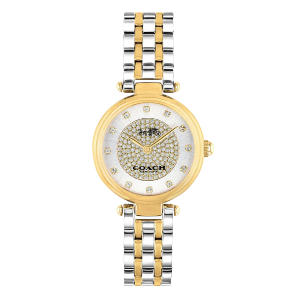 Coach Park Two-tone Stainless Steel Silver Dial Quartz Watch for Ladies - 14503643