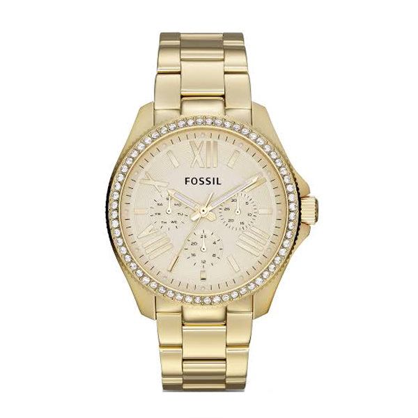 Fossil Cecile Gold Stainless Steel Silver Dial Quartz Watch for Ladies - AM4510